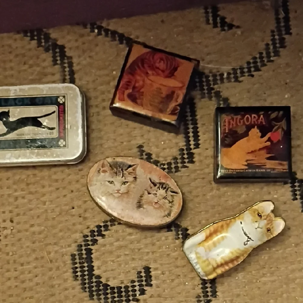 Vintage Cat-Themed Tin And Plastic Pill Holders